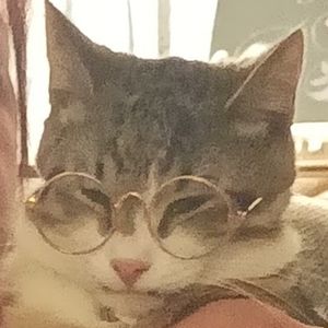 Meet your Posher, Diana